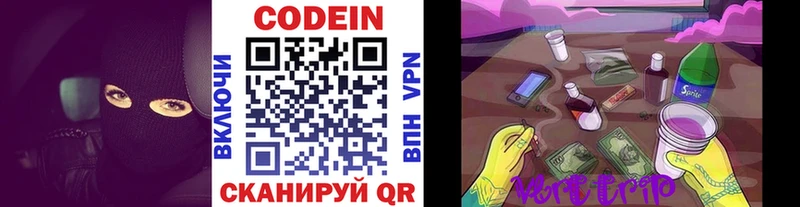 Codein Purple Drank  блэк спрут   Курчалой 
