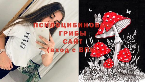 круглые Алексин