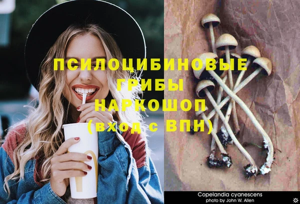 круглые Алексин